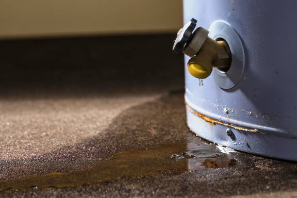Best Water damage restoration near me  in Conyngham, PA
