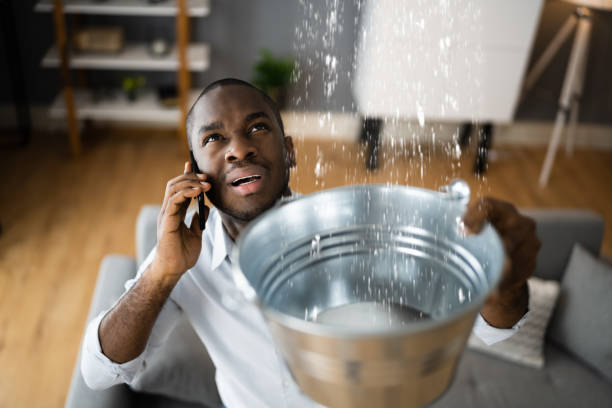 Best Water damage restoration specialists  in Conyngham, PA