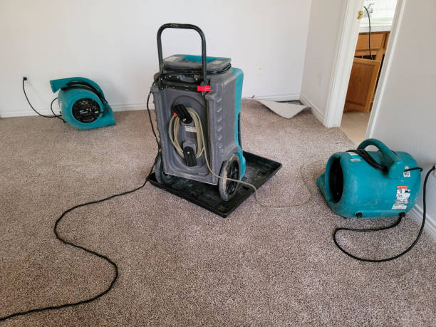 Best Flooded house restoration  in Conyngham, PA