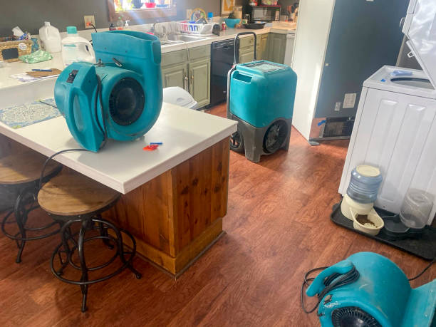 Best Professional water damage repair  in Conyngham, PA