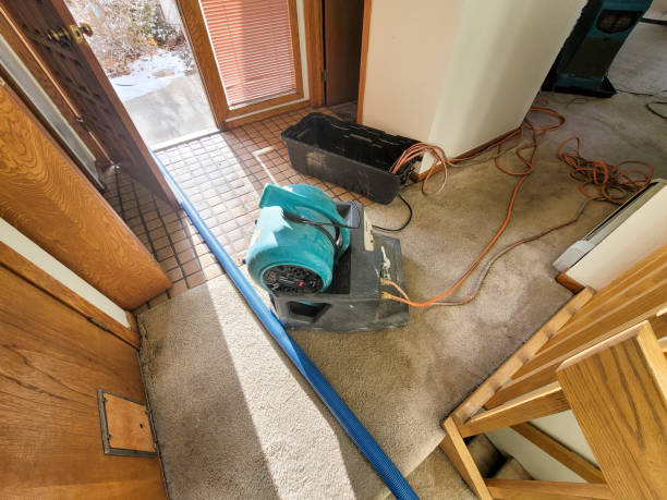 Best Ceiling water damage repair  in Conyngham, PA