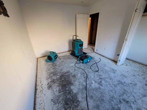 Best Emergency water damage restoration  in Conyngham, PA