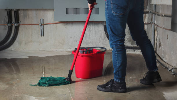 Best Flood damage cleanup  in Conyngham, PA