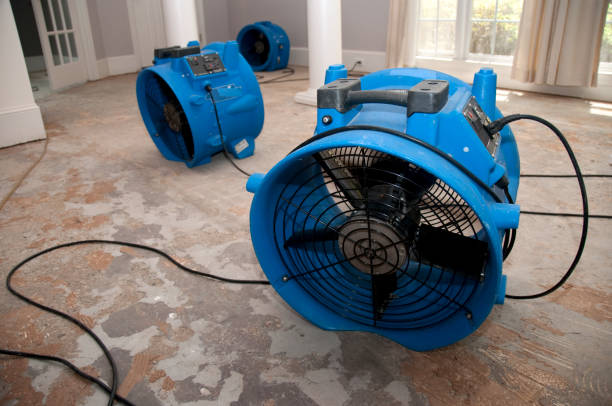 Best 24/7 water damage repair  in Conyngham, PA