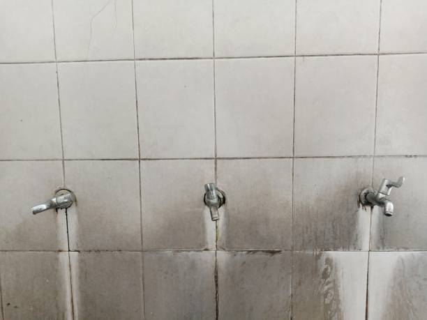 Best Basement water damage restoration  in Conyngham, PA