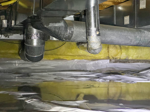 Best Water damage cleanup near me  in Conyngham, PA
