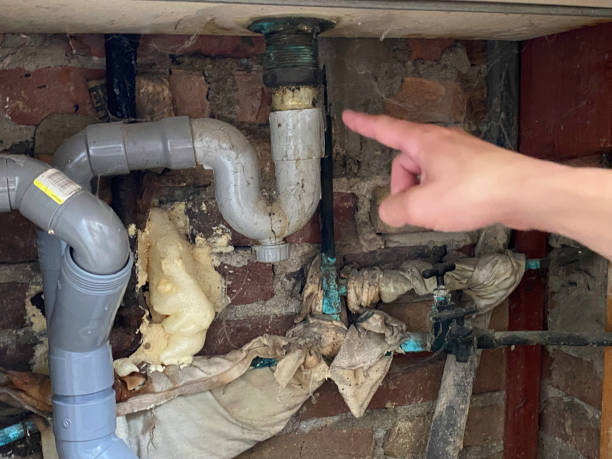 Best Water damage restoration services  in Conyngham, PA