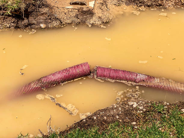 Best Emergency water damage restoration  in Conyngham, PA