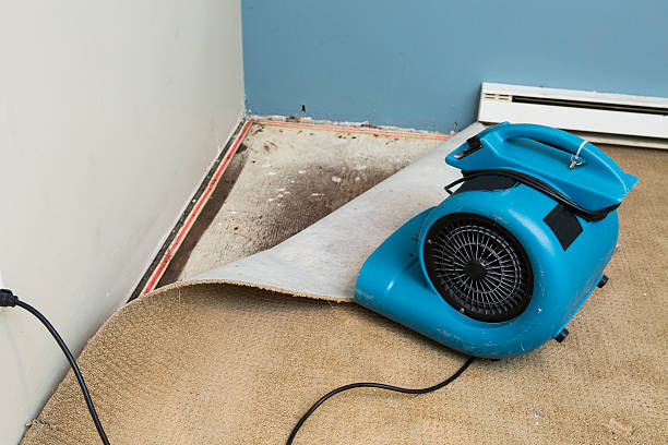 Best Water damage restoration experts  in Conyngham, PA